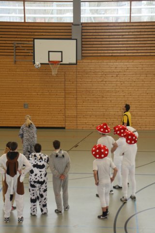 faschingsturnier_2013_3_20130210_2057788266