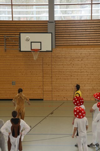 faschingsturnier_2013_4_20130210_1538599535